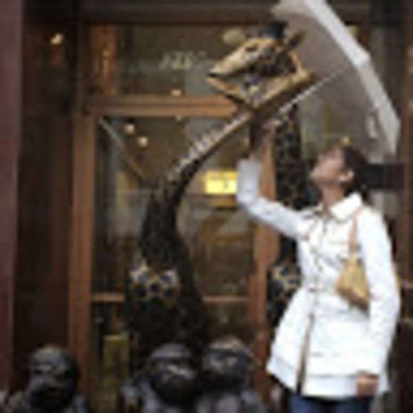 Meet your Posher, Sofia - Picture 1 of 1